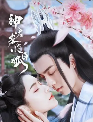 《神君家的小白狐》：当呆萌小狐妖遇上高冷神君，一场关于爱与救赎的奇幻之旅！