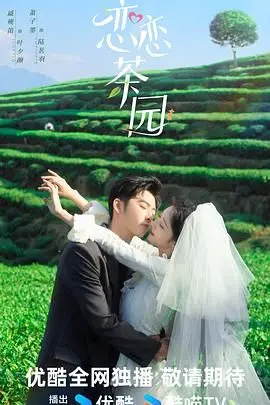 《恋恋茶园》：在茶香中寻找真爱，一段治愈心灵的浪漫之旅！