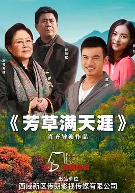 《晴晚之林》：迷失森林中的成人童话，现实与梦境交织的治愈之旅